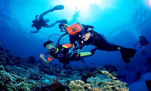 探索想问30万公里的车还能开吗,开启知识星球之旅